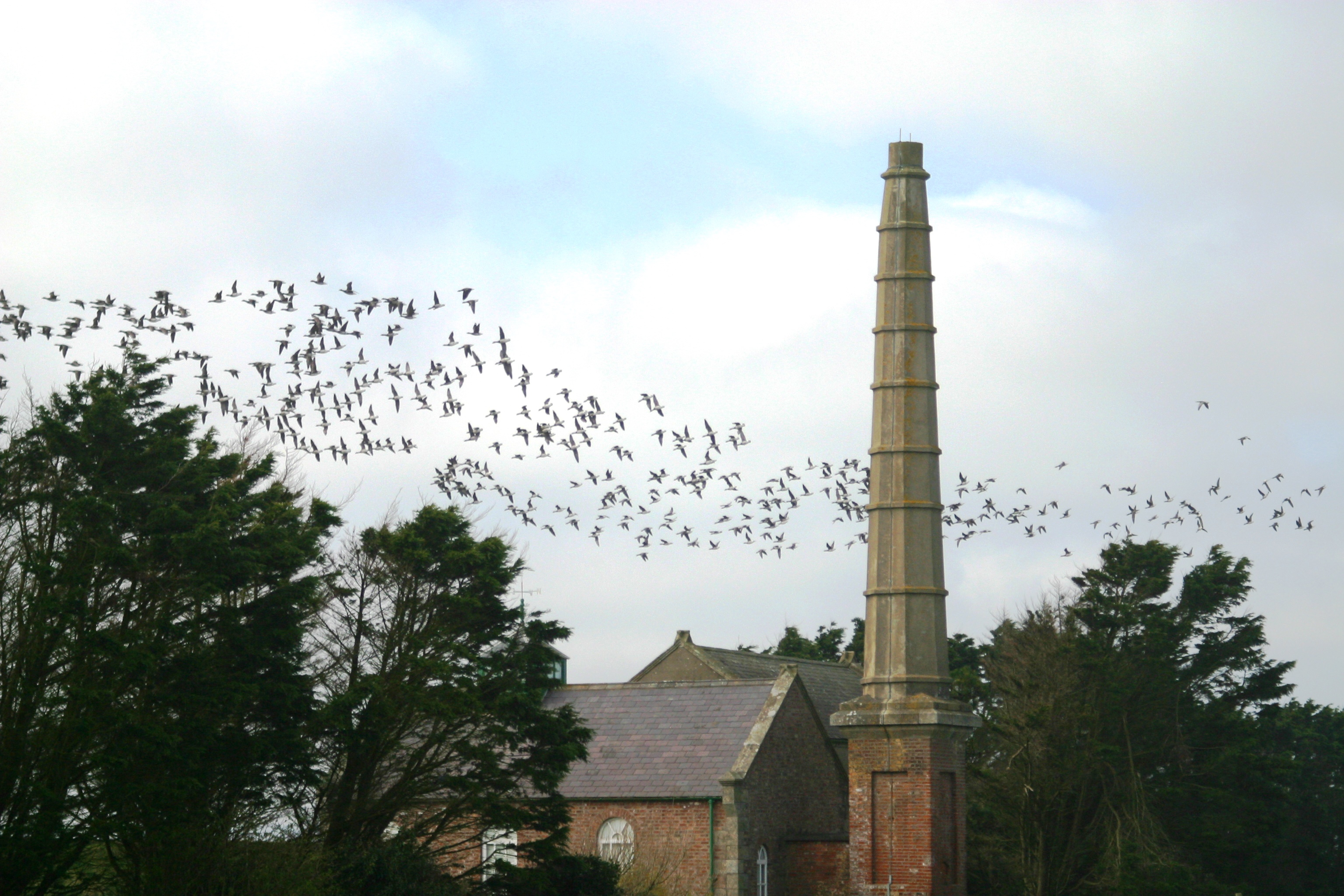 Brent Flying Around Pumphouse