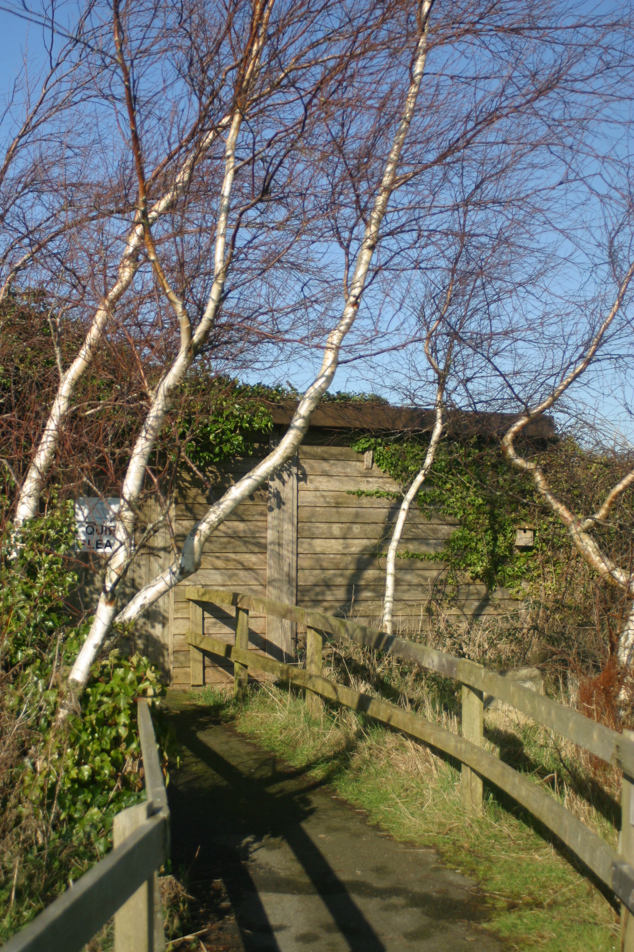 Robert Jobson's Hide