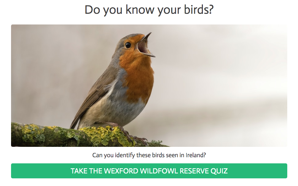 Bird Quiz