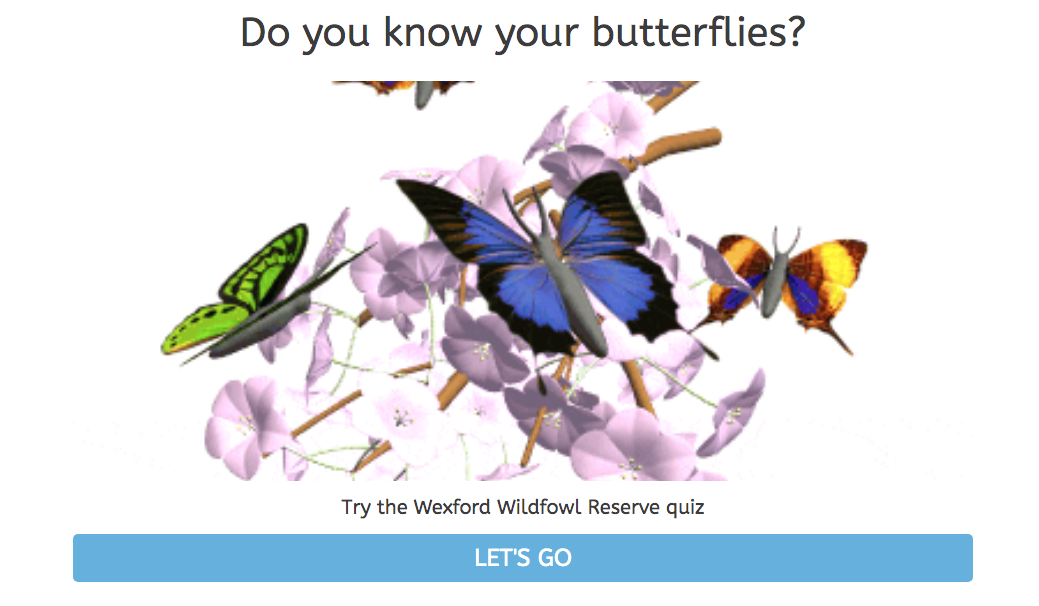 Butterfly Quiz