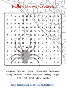 Halloween WordSearch