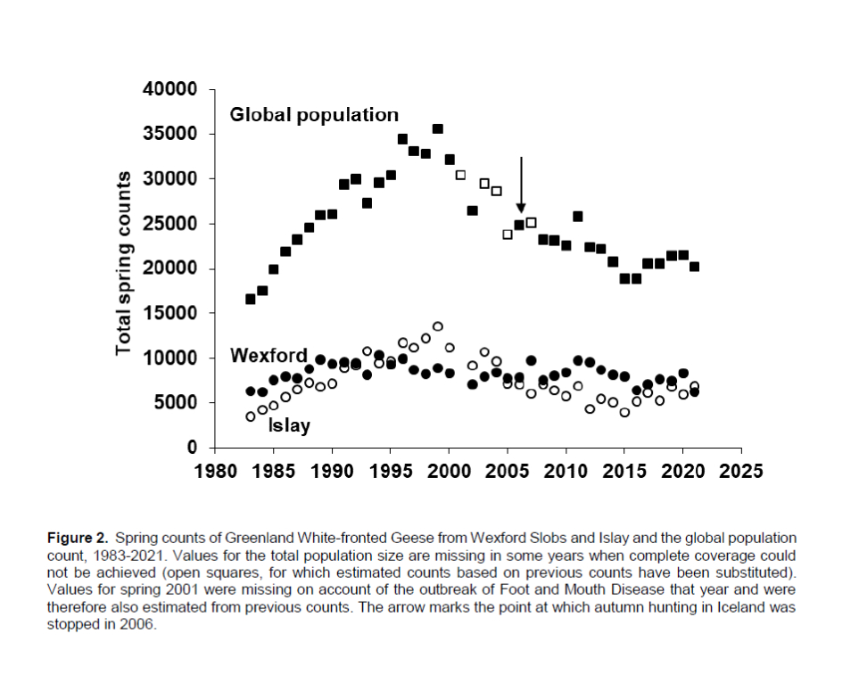 Spring counts of Greenland White-fronted Geese from Wexford and Islay and the global figures from 1983 to 2021