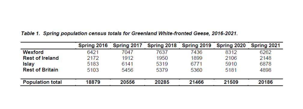 Spring population Census totals for Greenland White-fronted Geese 2016 to 2021