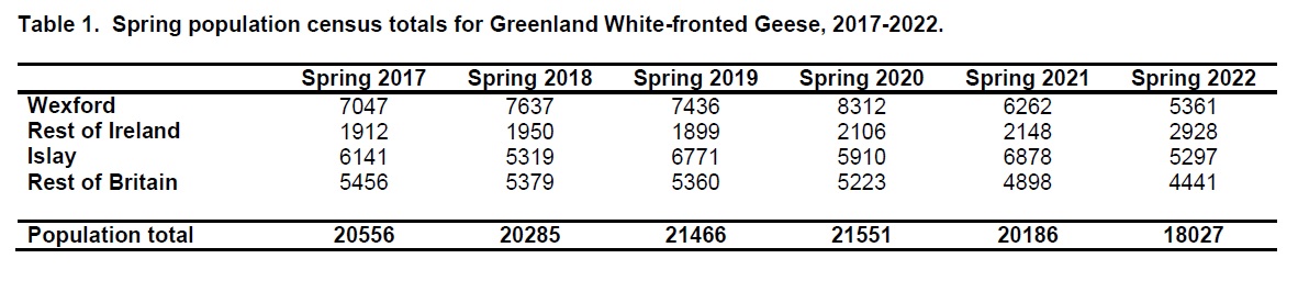 A table of numbers showing the spring population census total of Greenland White-fronted geese from 2017 to 2022