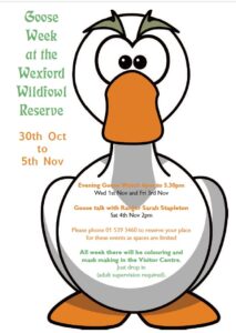 Goose Week 2023 30th Oct to 5th Nov Colouring and goose mask making every day in the Visitor Centre. Free of charge, adult supervision required. Evening Goose Watch on Wednesday 1st and Friday 3rd November from 4pm to 5.30pm Saturday 4th November at 2pm. Goose talk with Ranger Sarah Stapleton. Talk and goose watch require booking on 01 539 3460 as spaces are limited