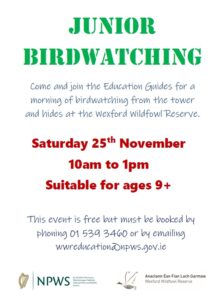 Junior Birdwatching for children 9 years and over. Saturday 25th November from 10am to 1pm. Free of charge. Phone or email the centre to book a place.