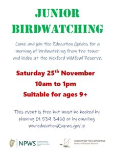 Junior Birdwatching for children 9 years and over. Saturday 25th November from 10am to 1pm. Free of charge. Phone or email the centre to book a place.