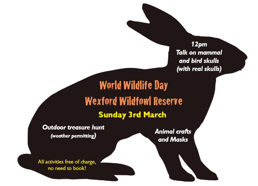 World Wildlife Day at the Wexford Wildfowl Reserve on Sunday 3rd March.