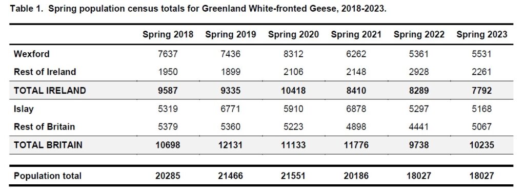 Table showing the numbers of greenland white fronted geese counted from spring 2018 to spring 2023 throughout Ireland and Britain.